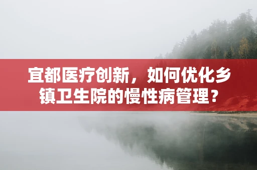 宜都医疗创新，如何优化乡镇卫生院的慢性病管理？