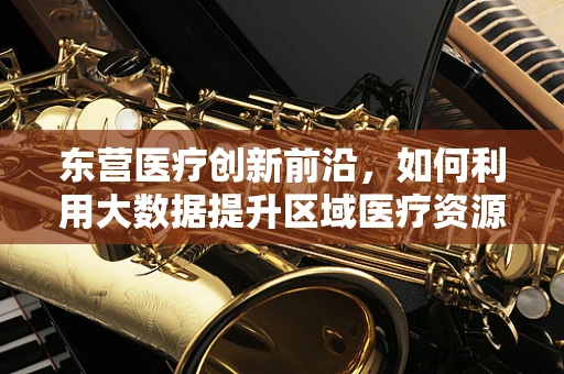 东营医疗创新前沿，如何利用大数据提升区域医疗资源分配效率？