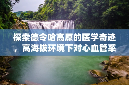 探索德令哈高原的医学奇迹，高海拔环境下对心血管系统的影响研究