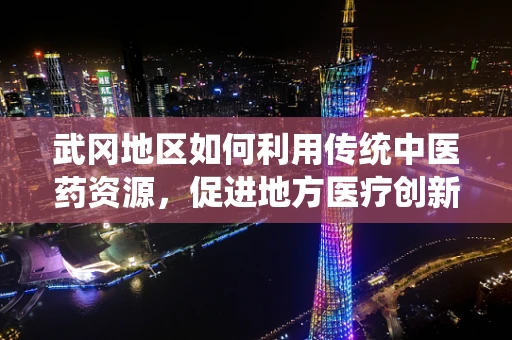 武冈地区如何利用传统中医药资源，促进地方医疗创新与健康旅游发展？