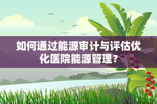 如何通过能源审计与评估优化医院能源管理？