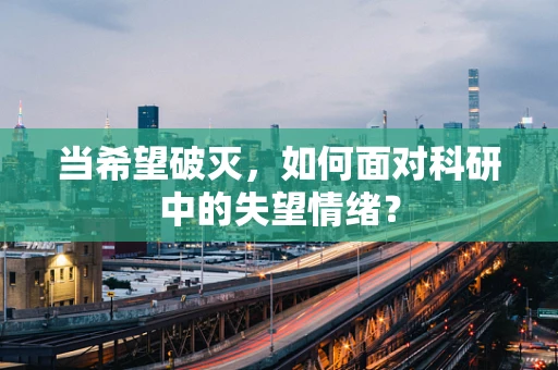当希望破灭，如何面对科研中的失望情绪？