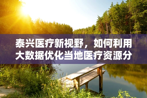 泰兴医疗新视野，如何利用大数据优化当地医疗资源分配？