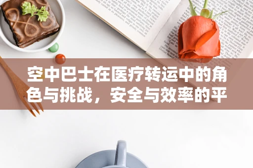空中巴士在医疗转运中的角色与挑战，安全与效率的平衡
