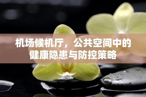 机场候机厅，公共空间中的健康隐患与防控策略