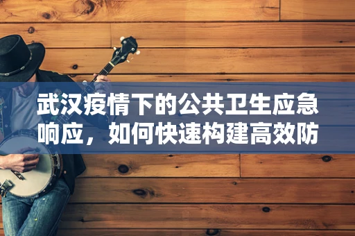 武汉疫情下的公共卫生应急响应，如何快速构建高效防疫网络？