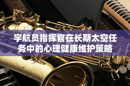 宇航员指挥官在长期太空任务中的心理健康维护策略
