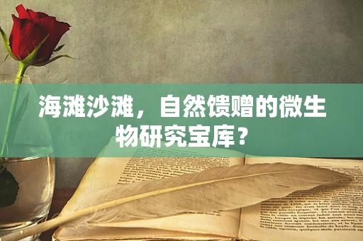 海滩沙滩，自然馈赠的微生物研究宝库？