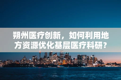 朔州医疗创新，如何利用地方资源优化基层医疗科研？