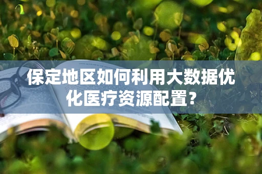 保定地区如何利用大数据优化医疗资源配置？