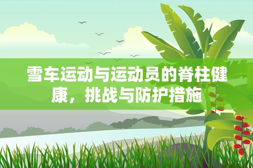 雪车运动与运动员的脊柱健康，挑战与防护措施