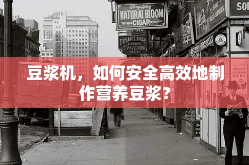 豆浆机，如何安全高效地制作营养豆浆？