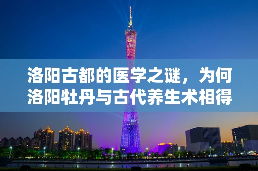 洛阳古都的医学之谜，为何洛阳牡丹与古代养生术相得益彰？