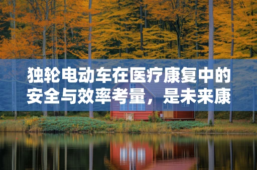 独轮电动车在医疗康复中的安全与效率考量，是未来康复新宠还是潜在风险？