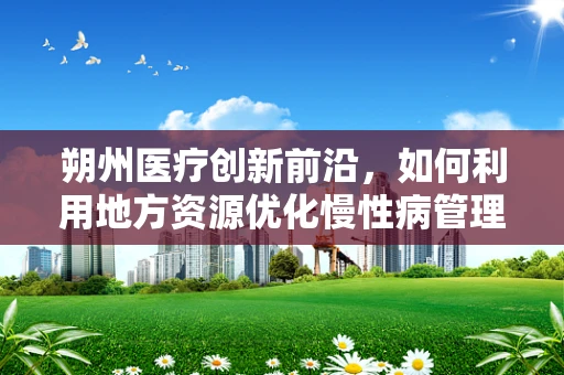 朔州医疗创新前沿，如何利用地方资源优化慢性病管理？