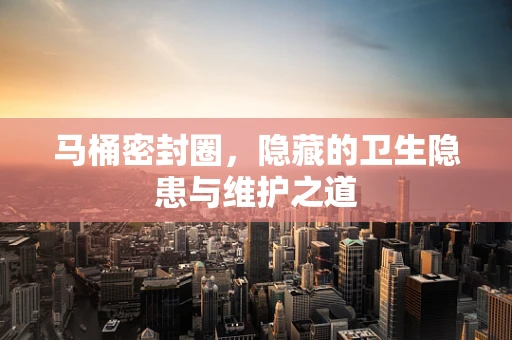 马桶密封圈，隐藏的卫生隐患与维护之道