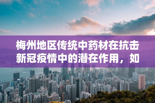 梅州地区传统中药材在抗击新冠疫情中的潜在作用，如何挖掘与利用？