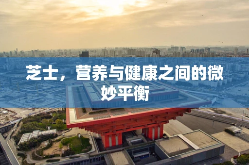 芝士，营养与健康之间的微妙平衡
