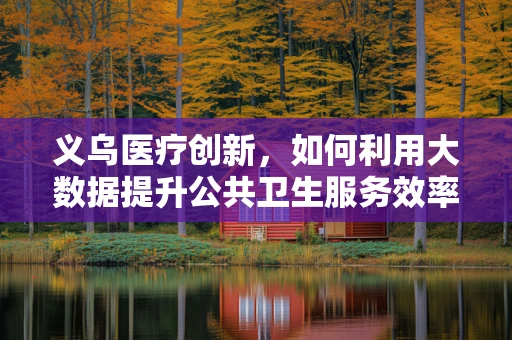 义乌医疗创新，如何利用大数据提升公共卫生服务效率？