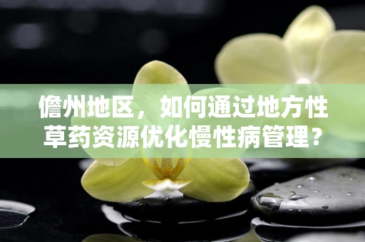 儋州地区，如何通过地方性草药资源优化慢性病管理？