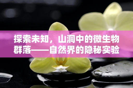 探索未知，山洞中的微生物群落——自然界的隐秘实验室