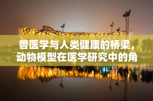 兽医学与人类健康的桥梁，动物模型在医学研究中的角色之问