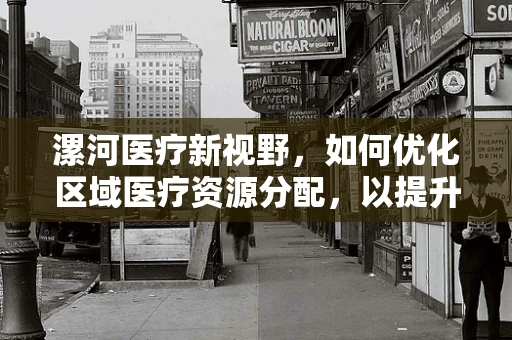 漯河医疗新视野，如何优化区域医疗资源分配，以提升基层医疗服务质量？