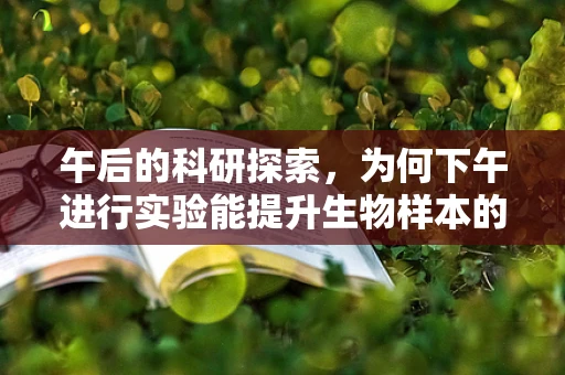 午后的科研探索，为何下午进行实验能提升生物样本的稳定性？