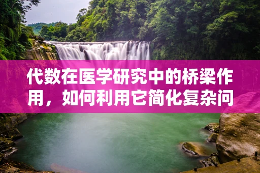 代数在医学研究中的桥梁作用，如何利用它简化复杂问题？
