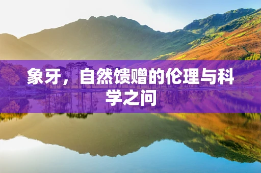 象牙，自然馈赠的伦理与科学之问