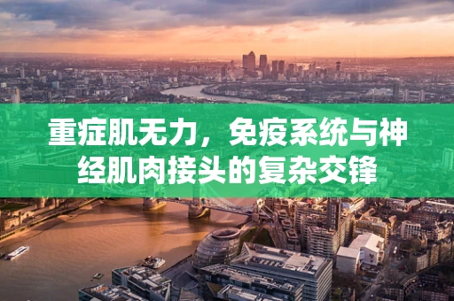重症肌无力，免疫系统与神经肌肉接头的复杂交锋
