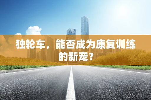 独轮车，能否成为康复训练的新宠？