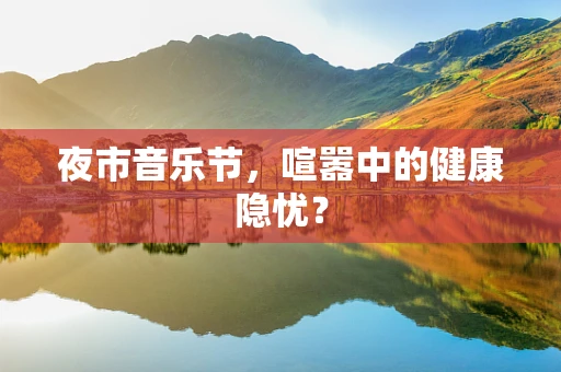 夜市音乐节，喧嚣中的健康隐忧？