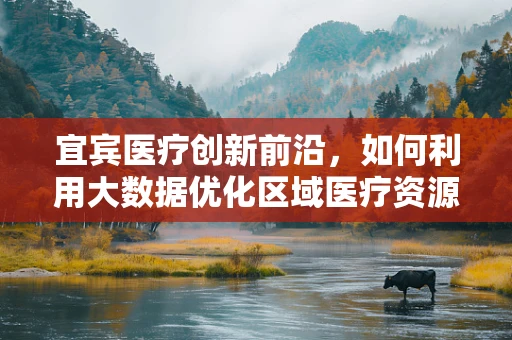 宜宾医疗创新前沿，如何利用大数据优化区域医疗资源分配？