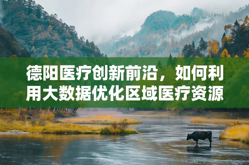 德阳医疗创新前沿，如何利用大数据优化区域医疗资源分配？
