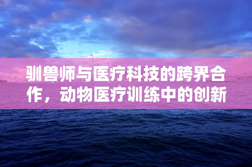 驯兽师与医疗科技的跨界合作，动物医疗训练中的创新应用？