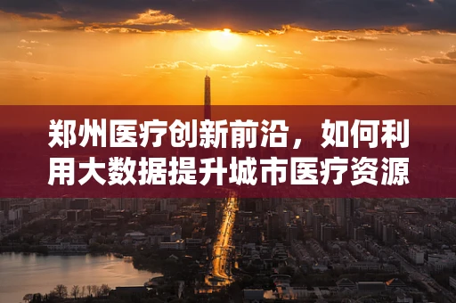 郑州医疗创新前沿，如何利用大数据提升城市医疗资源分配效率？