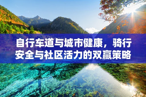 自行车道与城市健康，骑行安全与社区活力的双赢策略