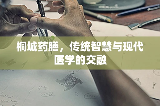 桐城药膳，传统智慧与现代医学的交融
