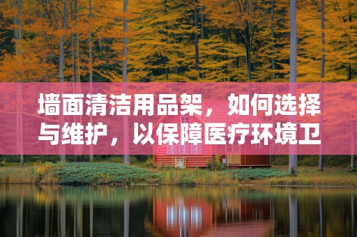 墙面清洁用品架，如何选择与维护，以保障医疗环境卫生？