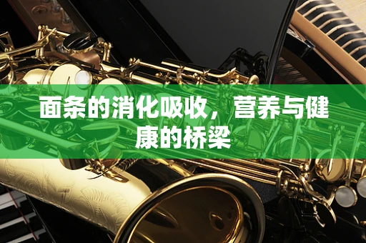 面条的消化吸收，营养与健康的桥梁
