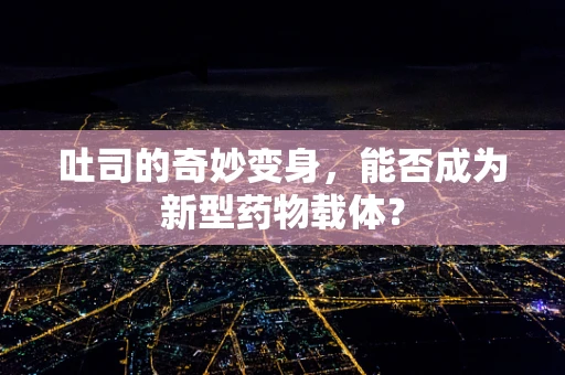 吐司的奇妙变身，能否成为新型药物载体？