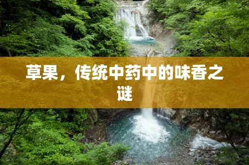 草果，传统中药中的味香之谜