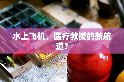 水上飞机，医疗救援的新航道？