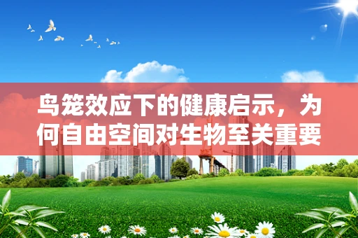 鸟笼效应下的健康启示，为何自由空间对生物至关重要？