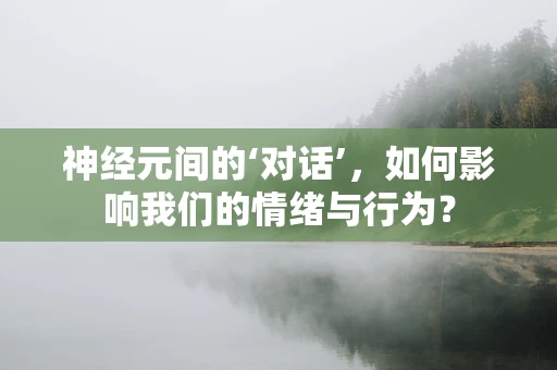 神经元间的‘对话’，如何影响我们的情绪与行为？
