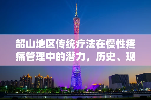 韶山地区传统疗法在慢性疼痛管理中的潜力，历史、现状与未来展望