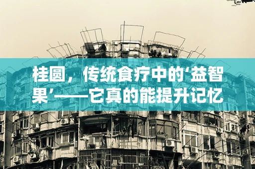 桂圆，传统食疗中的‘益智果’——它真的能提升记忆力吗？