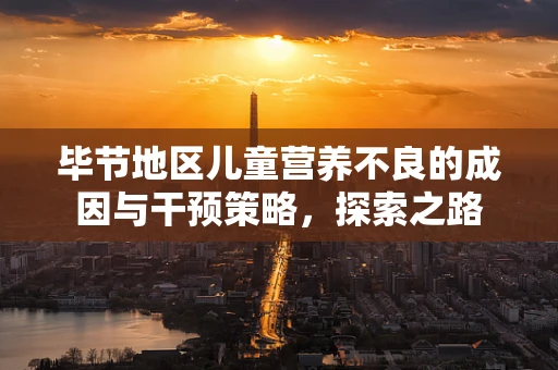 毕节地区儿童营养不良的成因与干预策略，探索之路