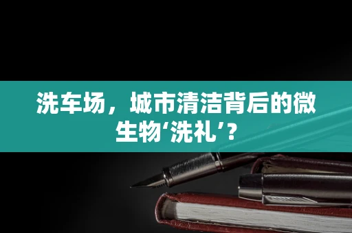 洗车场，城市清洁背后的微生物‘洗礼’？